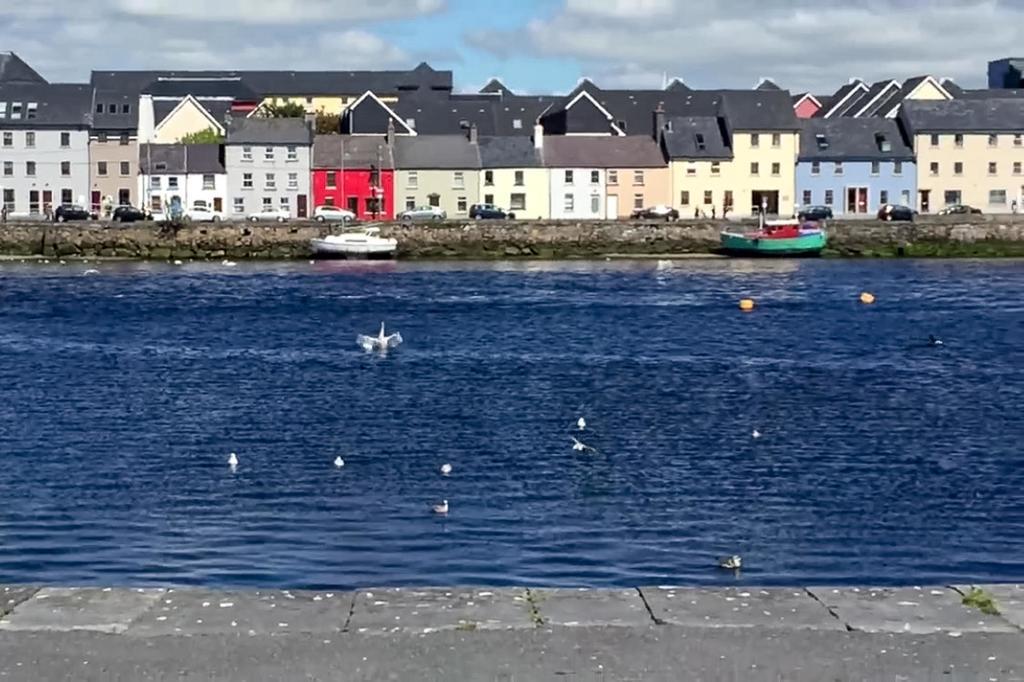 Dominick Street Apartments Galway Zewnętrze zdjęcie